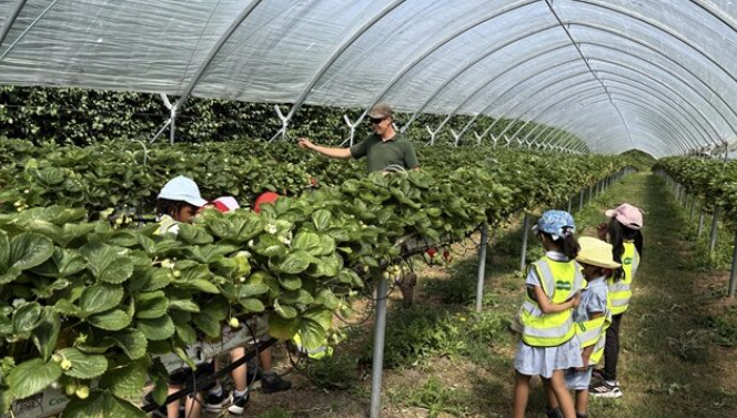 Fact-finding farm fun for St Gregory’s children